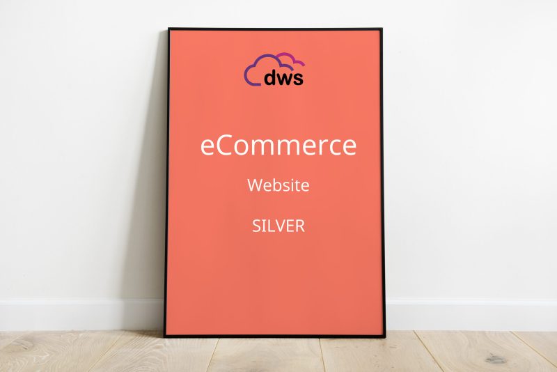 Ecommerce Silver Package
