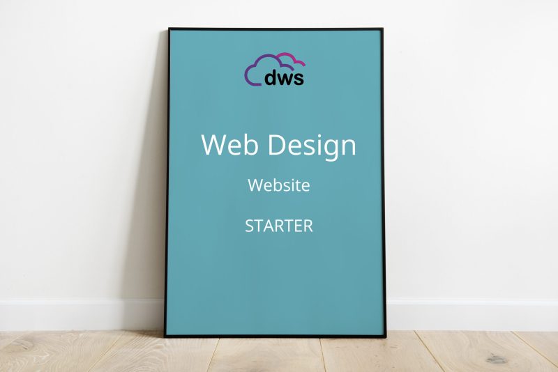 Web Design Starter Package Digidude Web Services
